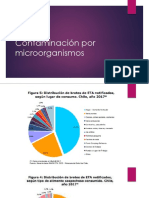 Contaminacion Microorganismos-3