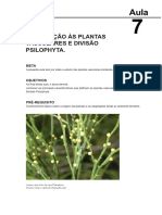 Introdução Às Plantas Vasculares E Divisão Psilophyta.: Acima, Uma Foto de Uma Psilophyta