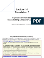 Lec14 Translation 3 - Regulation of Translation - Protein Folding - Degradation 3