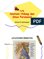 Anatomi hidung-SPN