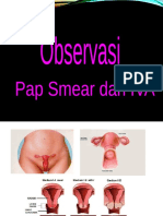 Ppt-Pap Smear Dann Iva