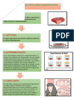 Pasos Del Metodo Cientifico