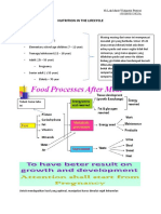 Nutrition in The Lifecycle