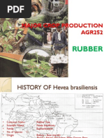 Download Rubber by Husnul Farhannah SN57824417 doc pdf