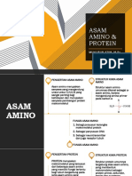 Asam Amino & Protein