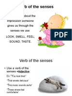 Verb of The Senses