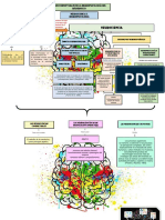 Mapa Conceptual Neurociencia