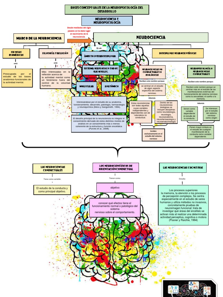 Mapa Cerebral De Neurociencia El Mapa Cerebral EVOX: ¿Qué Es Y Cómo