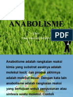 Anabolisme 1