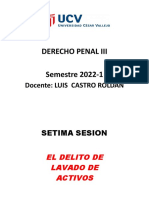 Utf-8''7ma. Sesion Delito de Lavado de Activos