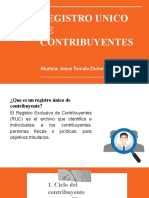 Registro Unico de Contribuyentes