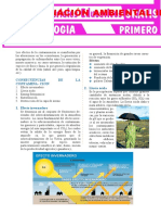 Efectos de La Contaminación Ambiental para Primero de Secundaria