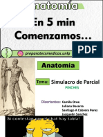 Simulacro de Parcial Anatomía Estructuras