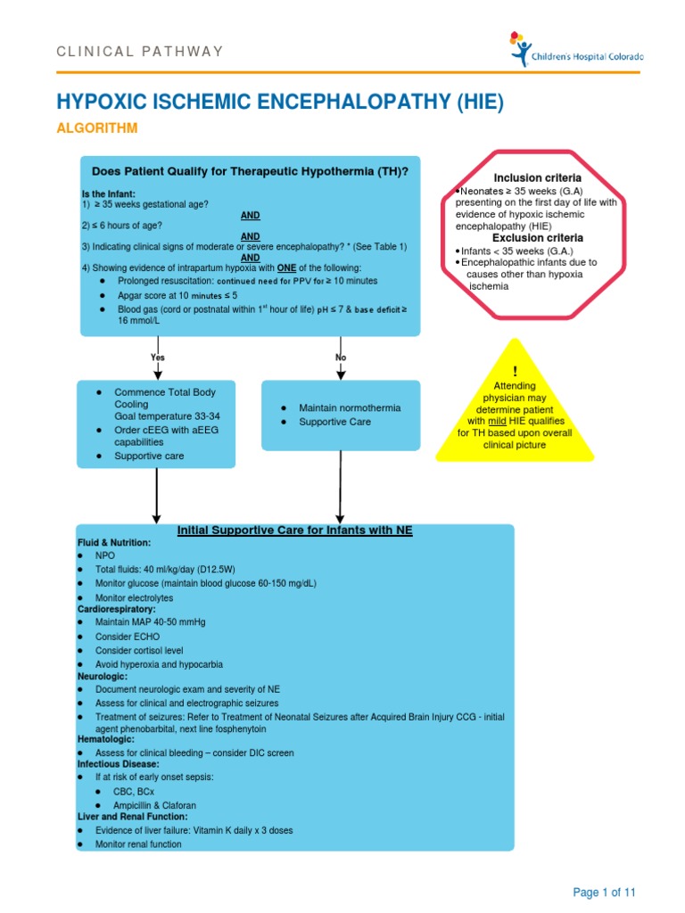 Hypoxic Ischemic Encephalopathy (Hie) Algorithm PDF Sepsis