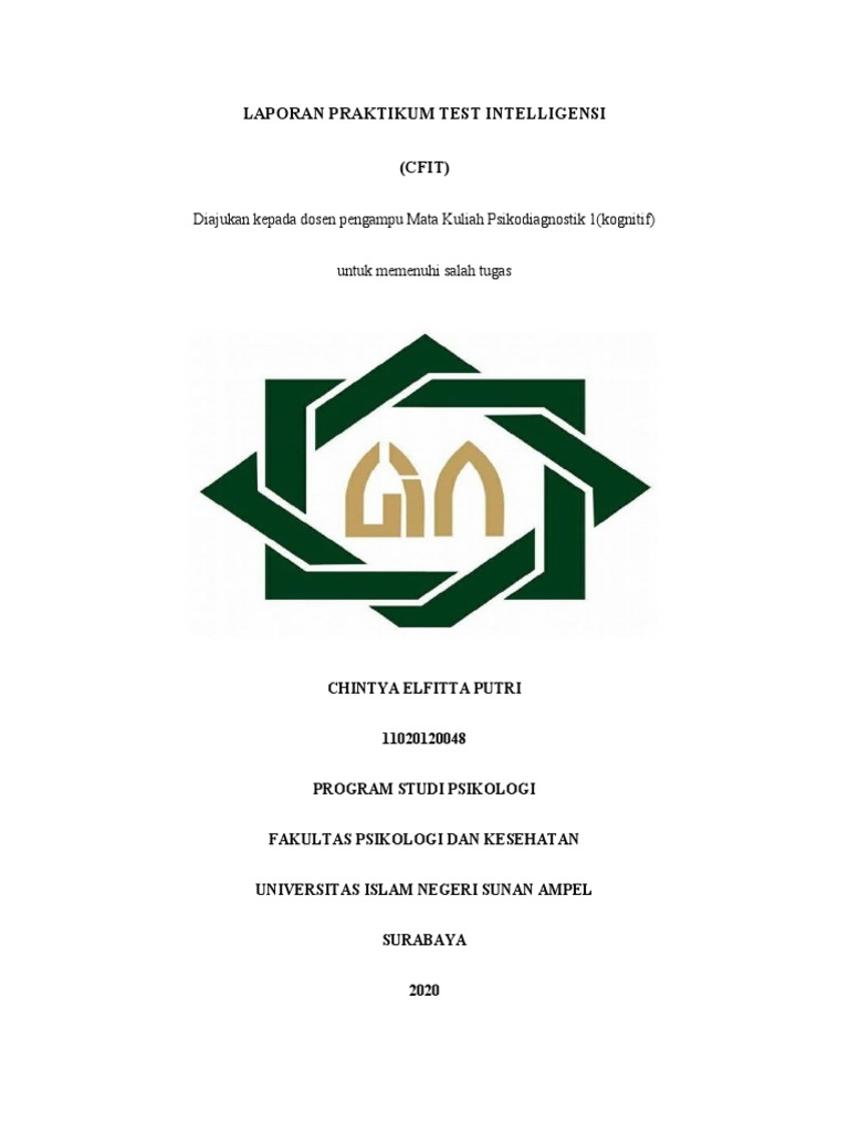 Cfit skor iq 119 pdf