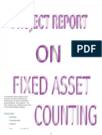 Fixed Asset Accounting Project Report