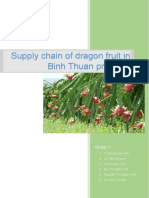 Supply chain of dragon fruit