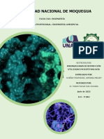 Endonucleasas de Restricción Utilizadas en Biotecnología - Adriana Dueñas