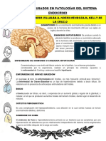 Terminos para La Infografia de Sistema Endocrino Karim Kelly y Noemi Terminado