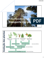 Distribuição de materia_ transporte nas plantas_unidade 2_ versão  Explicação