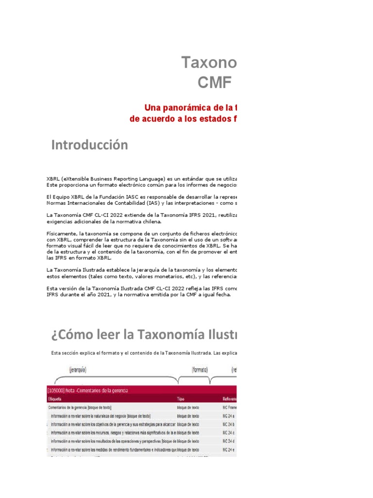 Modelo de Taxonomía PDF normas internacionales de INFORMACION