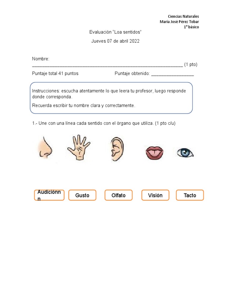 Evaluación de los 5 Sentidos para Niños | PDF | Ciencia cognitiva