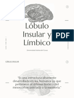 Resumen Sobre El Lóbulo Insular y Límbico