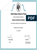 Certificate (2) REINALDO RODRIGUEZ HERNANDEZ