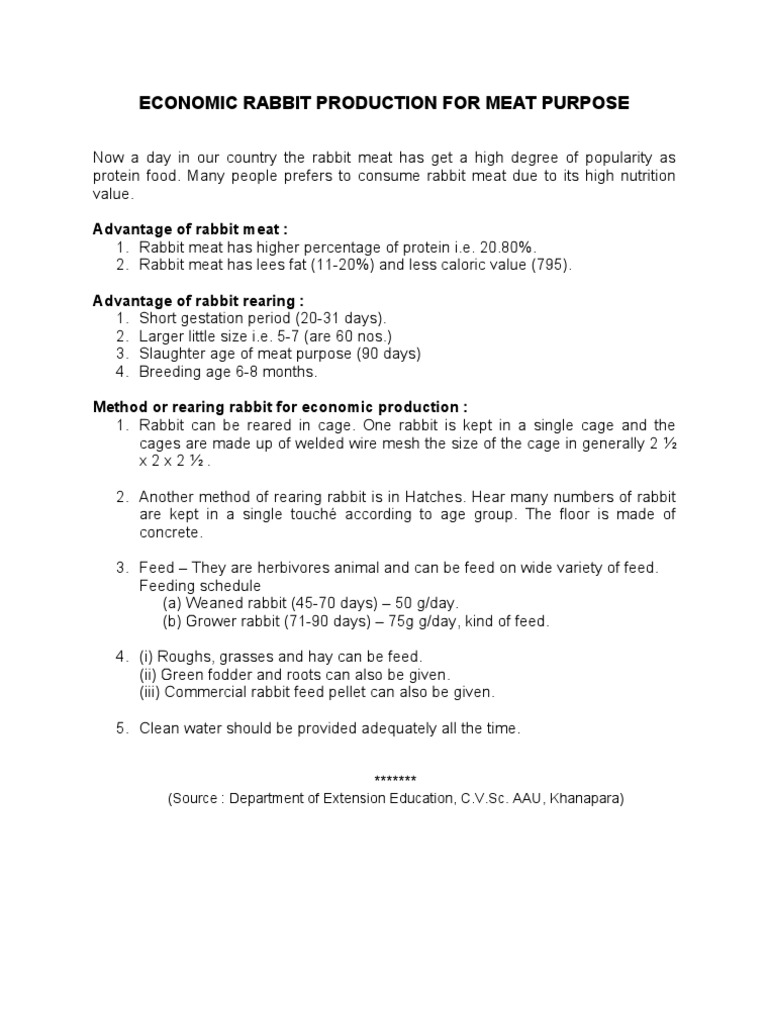 Rabbit Production | PDF