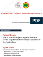 Anfis Sistem Integumen