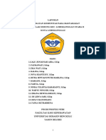 Laporan Keperawatan Komunitas RT 10