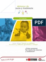 1492517312-2015Cmoprepararlasclasesencienciasyambientefinal_11-09 PROCESOS DIDACTCO de PRIMARIA