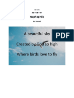 A Beautiful Sky Created by God So High Where Birds Love To Fly