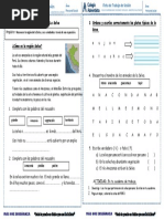 La Selva Peruana para Segundo Grado de Primaria - Compressed | PDF ...