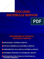 Ppt.sistemul Nervos 1 Profesoara Felicia