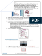 8.4 Convolutional Neural Networks