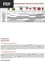 1733_cultura_cafeeiro