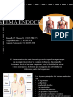 Sistema Endocrino