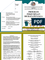 Buku Program Ibubapa 2022