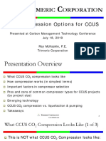 Rimeric Orporation: CO Compression Options For CCUS