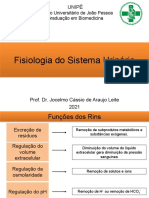 AULA 10 - Fisiologia Do Sistema Urinário