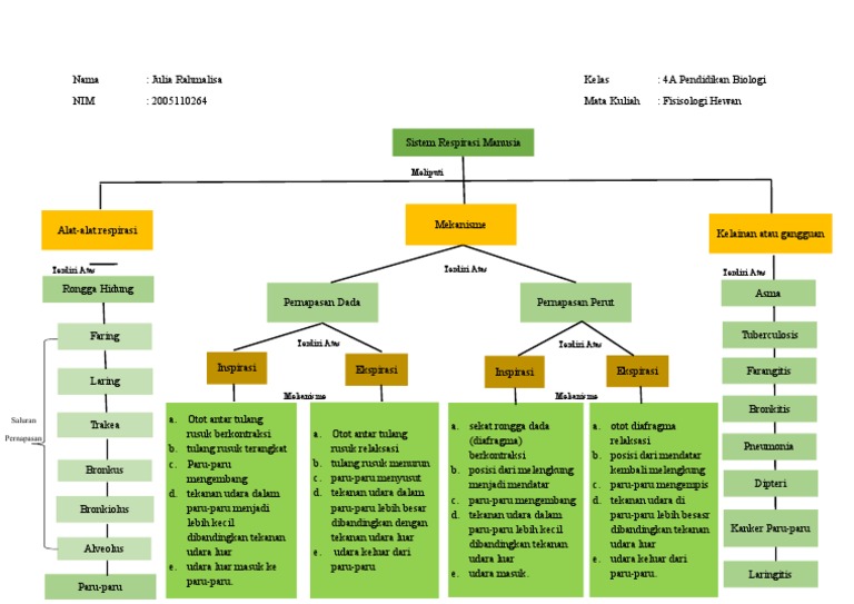 Peta Konsep Respirasi | PDF