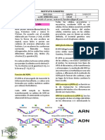 ADN y ARN: estructura y función