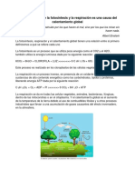 Desequilibrio Entre La Fotosíntesis y La Respiración Es Una Causa Del Calentamiento Global