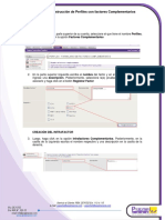 Guía Construcción de Perfiles Complementarios EROS