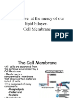 the cell membraneppt   1   -  compatibility mode