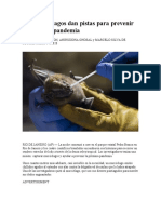 Los Murciélagos Dan Pistas para Prevenir La Próxima Pandemia