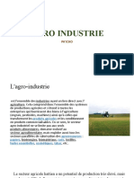 Agro Industrie Paicho