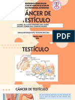 Exposición Cancer de Testículo