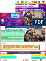 Albergamos Perros Sin Hogar